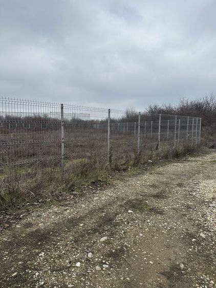 Vand teren intravilan Dragomiresti Vale 900 mp - 6