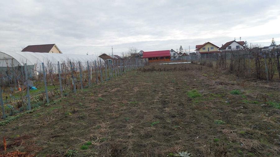 Casa cu teren Satu Mare langa aeroport - 4