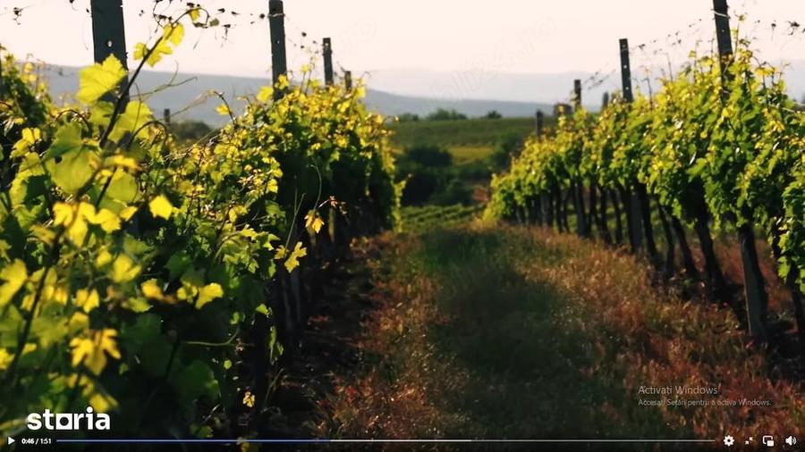 Teren de 165000 mp, în Pleașa