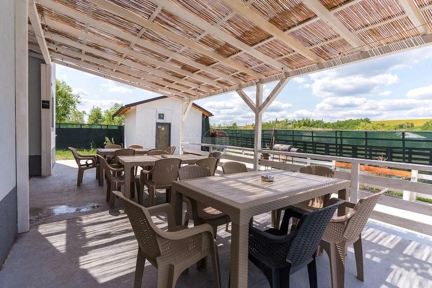 Casă cu Teren 1460 Mp în Bogonos