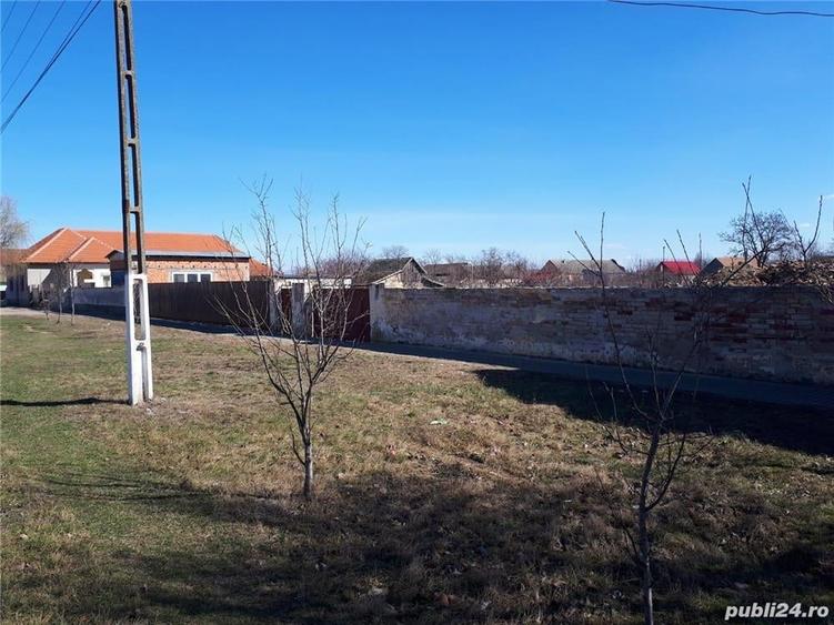 Teren de 2900 mp, în Secusigiu