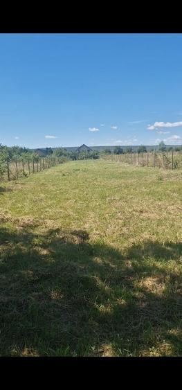 Teren de 1500 mp, în Boldești