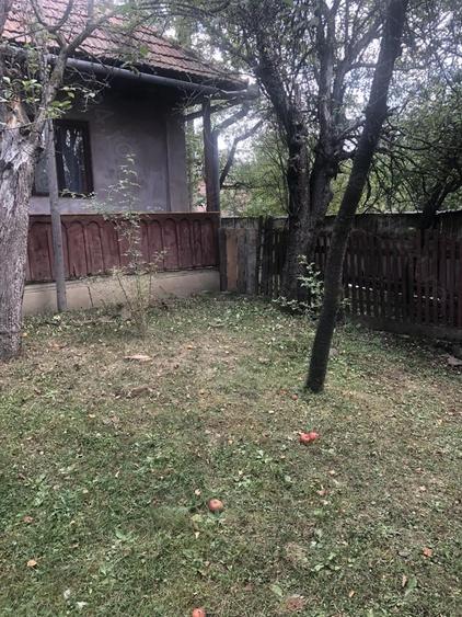 Casa batraneasca de vanzare in satul Martanus, Jud. Covasna - 4