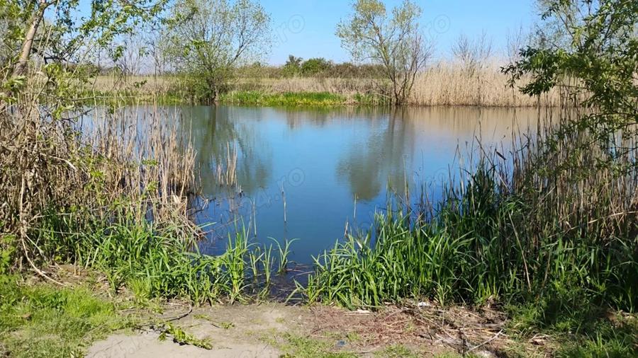 Vand casa in Utvin, 11 km de centru Timisoarei - 4