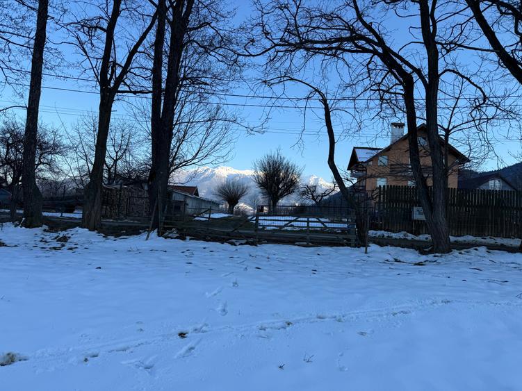 Teren intravilan 763 mp in zona Bran-Tohanita,judetul Brasov - 6