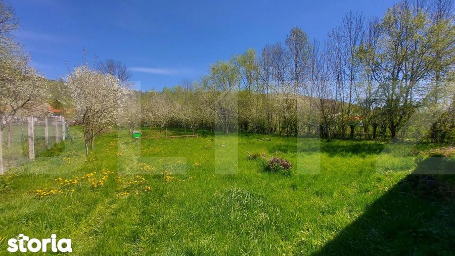 Casa autentica 3.100 mp teren, livada si parau I Lisnau - 7