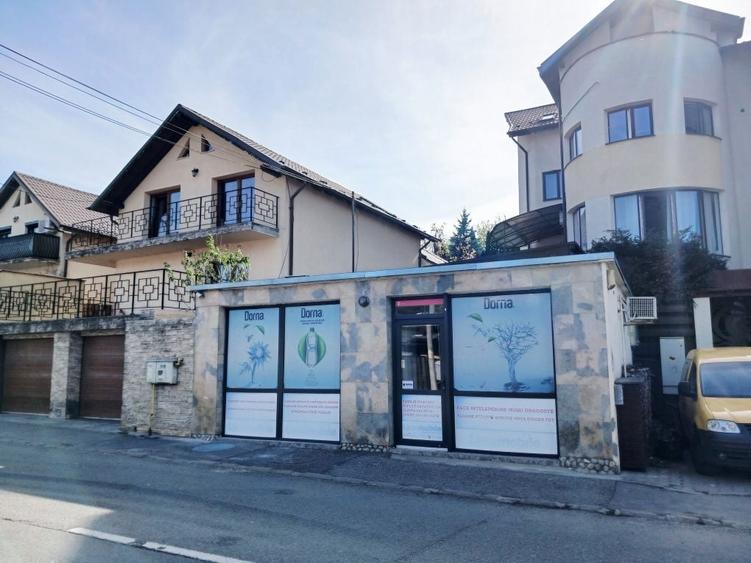 Spatiu comercial 46 mp, stradal, vitrina Manastur, Campului - 7