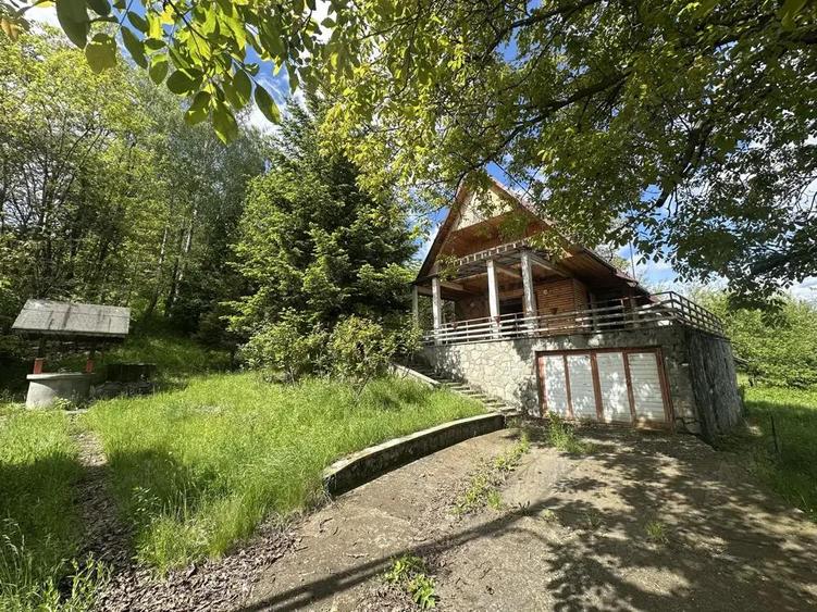 Agentia imobiliara VIGAFON vinde casa 4 camere Homoraciu - 10