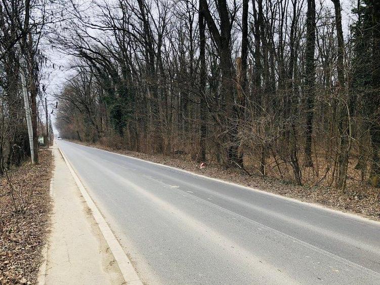 Vanzare teren intravilan 600 mp | ideal investitie | Baneasa | - 1