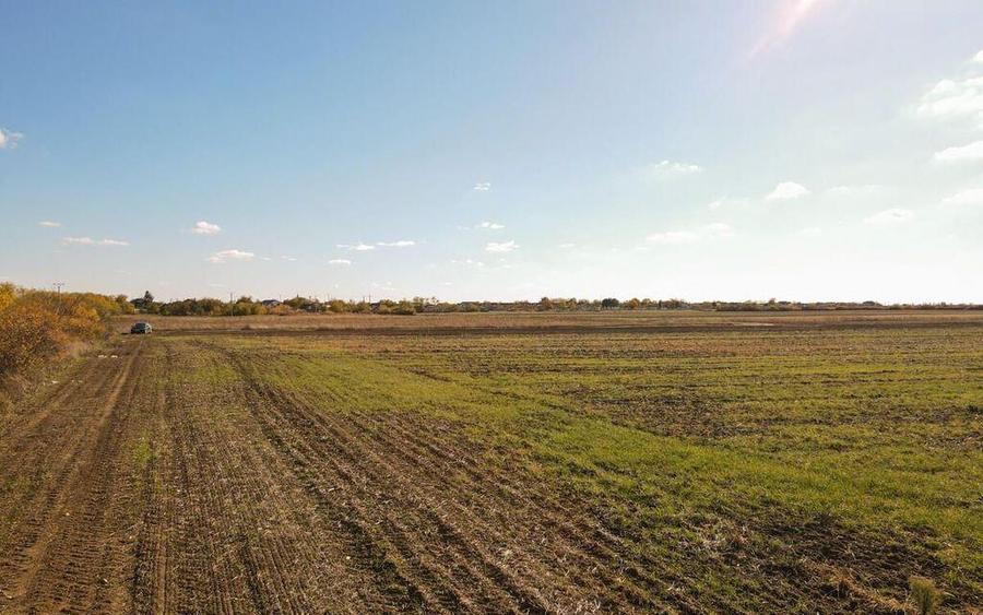 Bucovat - Lot Intravilan 2.27 Ha, PUZ inceput, Rezidentia... - 8