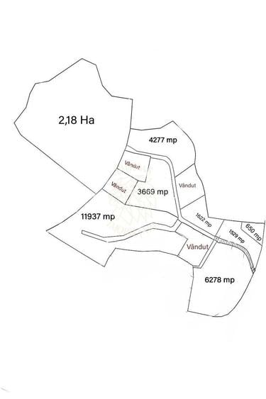 Teren Construcții intravilan de 650 mp, în Colibița