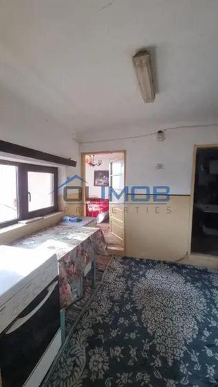 Casa batraneasca de vanzare in Chitila aproape de Bucure?ti - 8