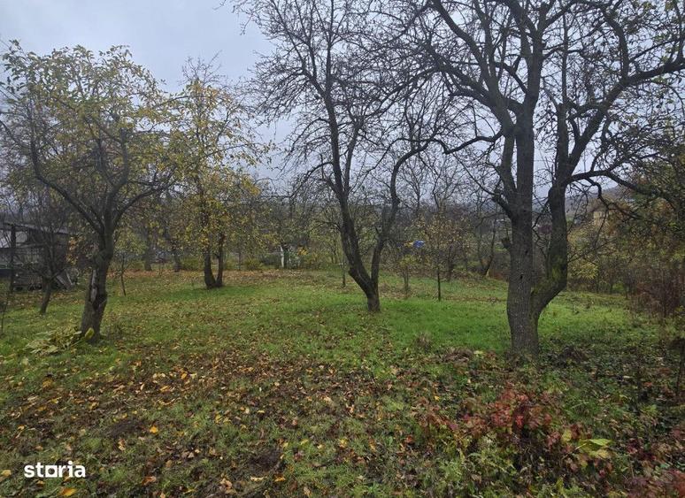 Teren intravilan Tomesti , 500 metri Cod:160517 - 1