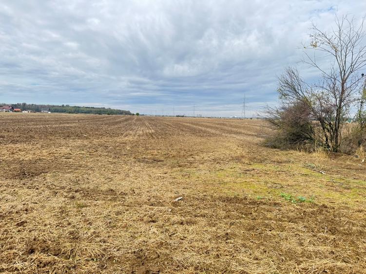 MAGURELE iF LOCALITATEA PRUNI ,LOTURI DE VANZARE - 7