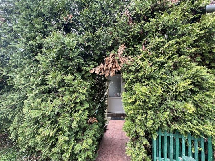 Vila individuala renovata complet | 6 camere | 500 mp teren | Str Jean Monnet - 25