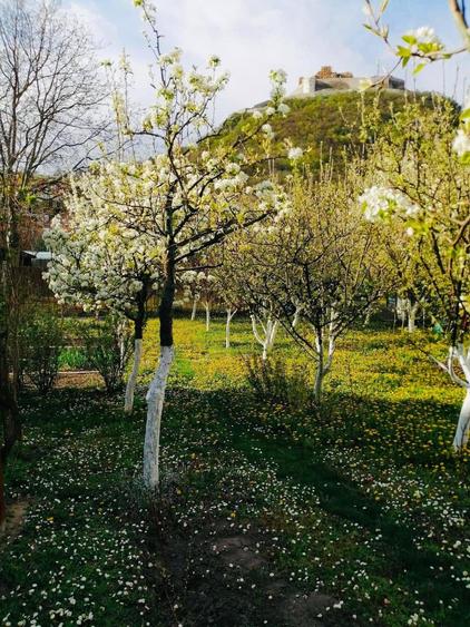 Vand casa D+P central Deva - 3