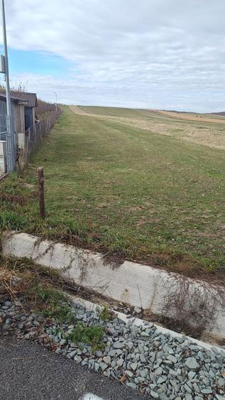 Vand parcela teren 7200 mp (2 euro/mp) in localitatea Arinis, jud Mar - 1