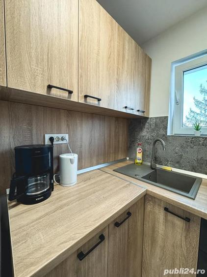 Ofer spre inchiriere STUDIO Modern si Primitor - 5