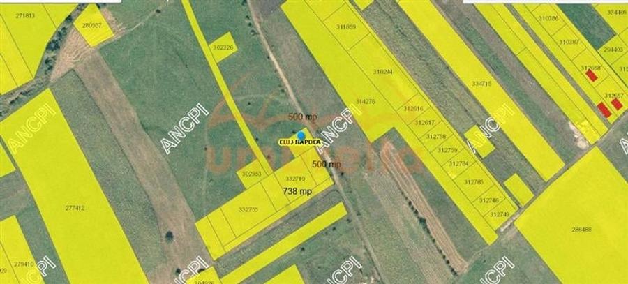 Teren de vanzare Valea Chintaului ! - 5