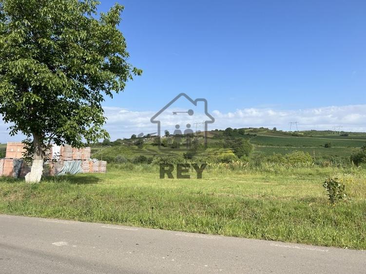 Teren HALA de vanzare iesirea din Sura Mare spre Hamba. - 2