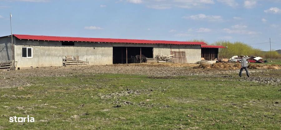 Ferma Zootehnica de Vanzare 6 Ha | Vaci si Oi | Grajd si Saivane | Cal - 2