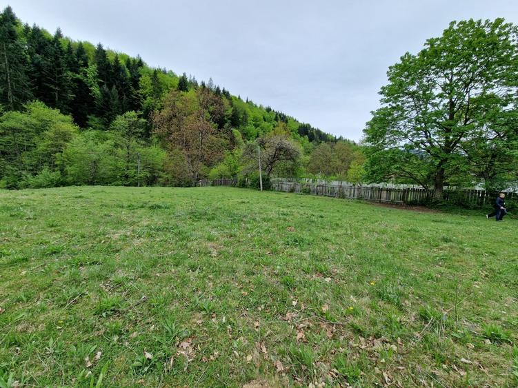 Teren intravilan 2936 mp. Bistrița jud Neamt - 2