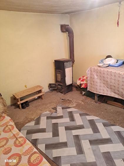 Casa Parter, localitatea Barza, judetul Olt - 7
