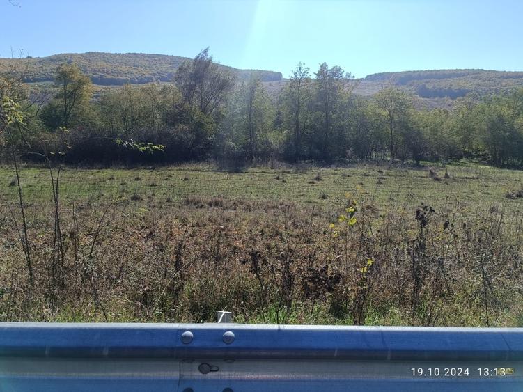 vand teren Vultureni - 5