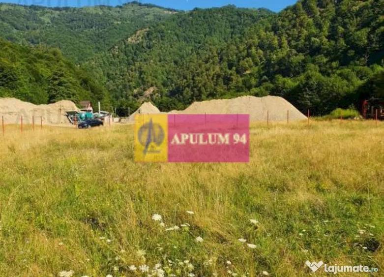 Teren Jude?ul Valcea - Brezoi, Valea lui Stan - 14