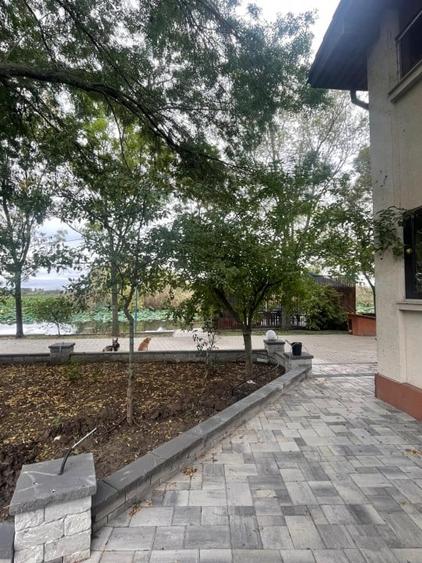 SE VINDE VILA CU DESCHIDERE LA LACUL SNAGOV LA CEL MAI MIC PRET - 7