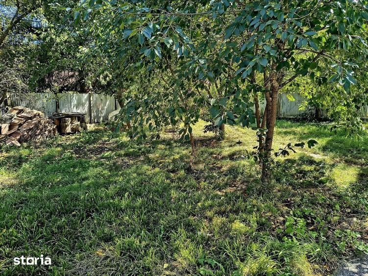 Casa de vacanta, Bradet-Brasov, Oportunitate Investitie! - 9