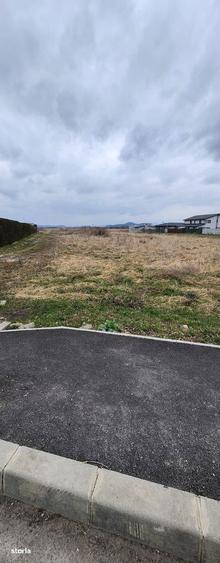 Stupini str. Barsei, asfalt, utilitati, 14 loturi 500-700 mp=7.692 mp. - 3