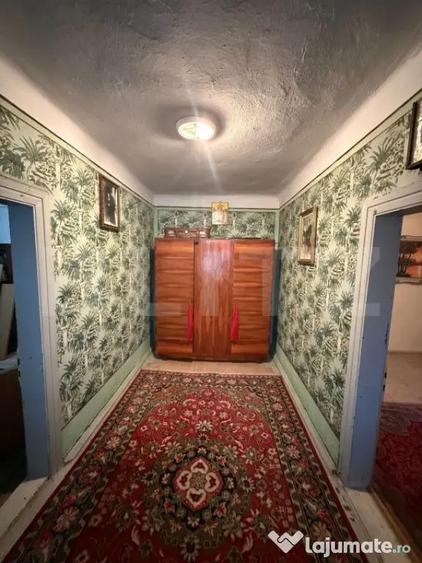 Proprietate completa in Sacuieni- Doua Case + Anexe - 5