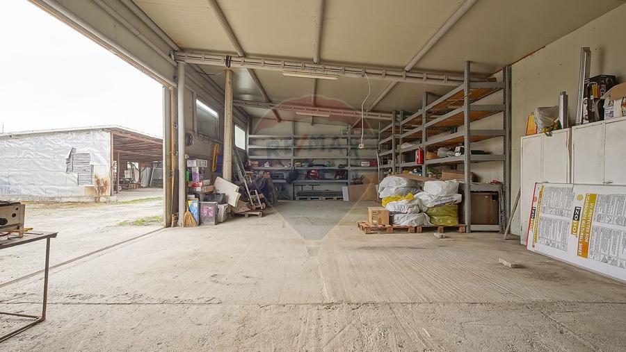 Comision 0 | Dezvoltare sau business: hale + teren 5.924 mp - 7