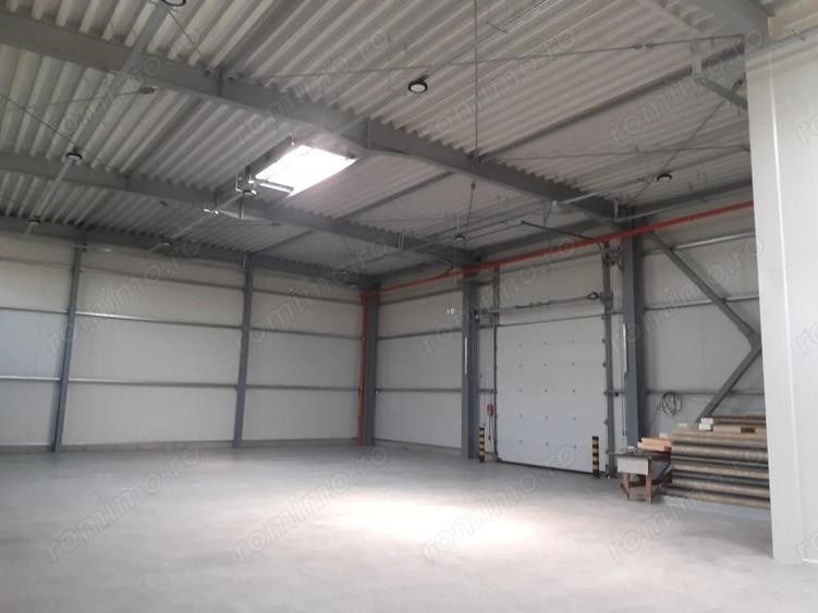 Hale noi in zona Drumul Intre Tarlale - 8