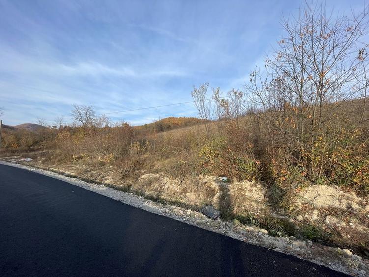 Teren intravilan de vanzare in localitatea Eselnita, strada Salcamilor - 5