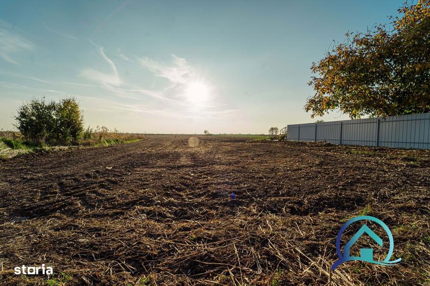 Teren 8 000 mp Arad Variasu Mare 47 000 se accepta plata in rate! - 4
