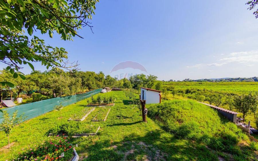 MERISOR - proprietate de vanzare - 2