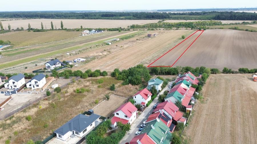 Teren intravilan 6000 mp Darza 13E/mp deal pentru case, ferma, productie - 2