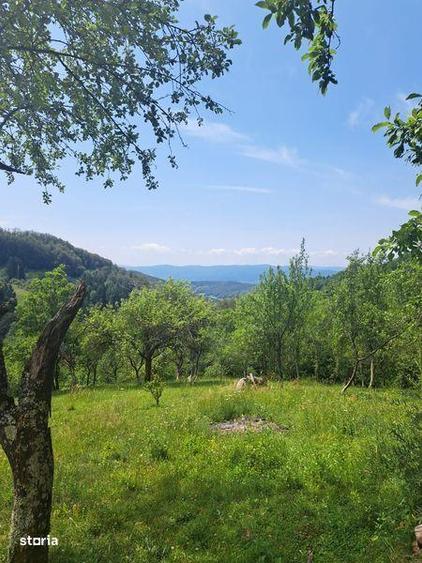 Casa de vanzare cu gradina. - 6