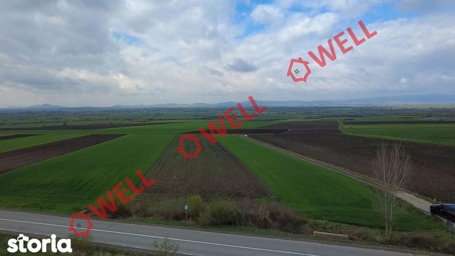 Teren intravilan de vanzare in Bicfalau! - 6