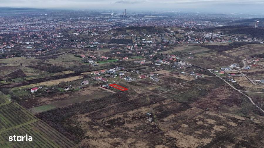 Teren Intravilan, Nicolae Beldiceanu - 3