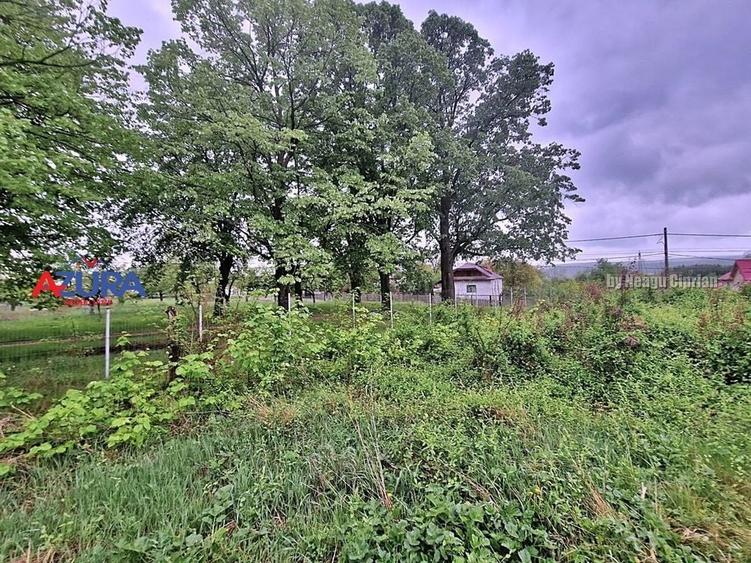 AZURA Imobiliare - Budeasa, Teren 5.069 mp, Casa BONUS - 12