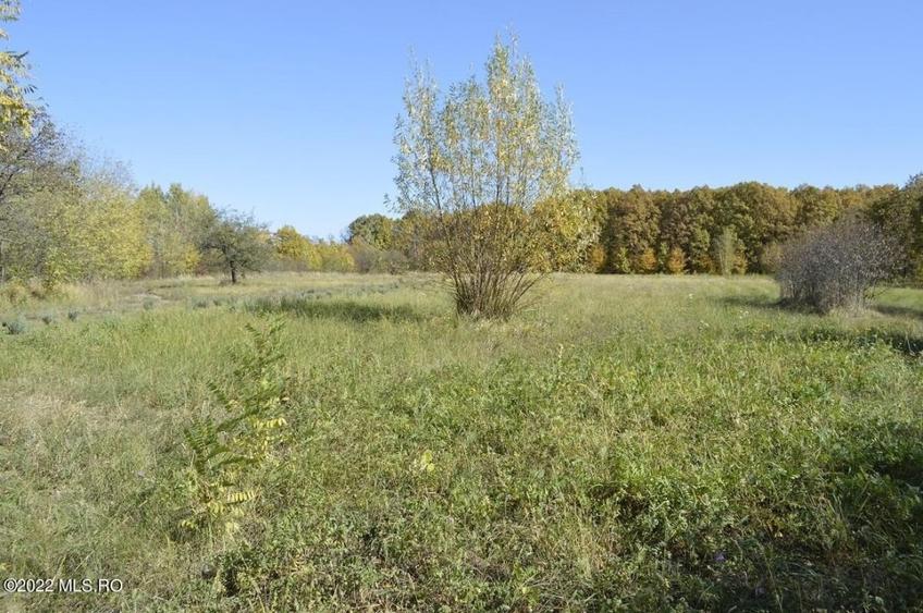 Topoloveni - Conacul Ion Mihalache, Domeniu pe 5 Hectare! - 59