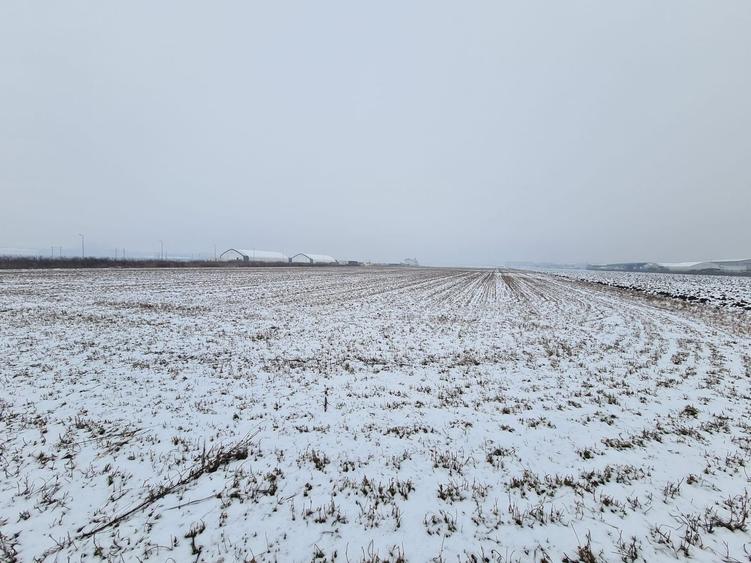 Teren industrial de vanzare in Stupini - 3