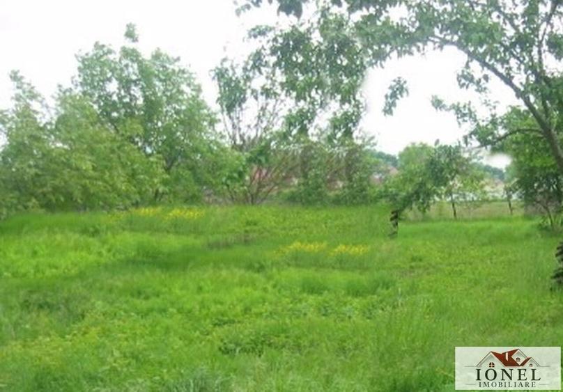 Teren intravilan de vanzare in Vintu de Jos - 1