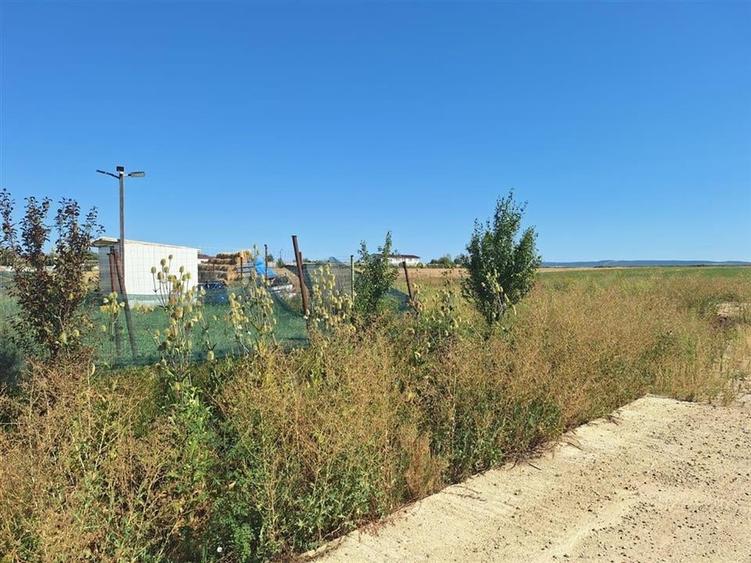 Reco, Teren intravilan Osorhei - 1