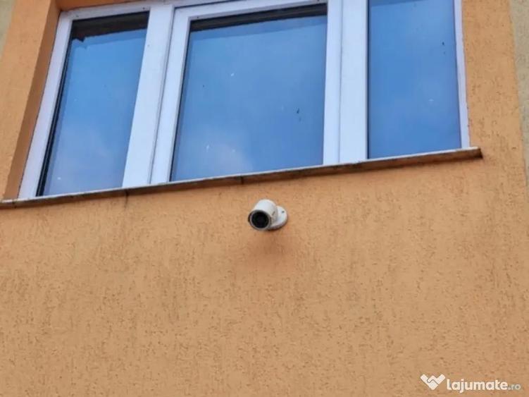 Casa cu teren 7.3 hectare Suceava - 9