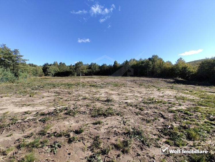 Teren intravilan In Faget, strada Sfanta Maria - 2