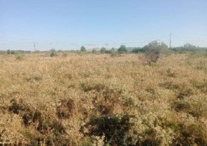 Targu Neamt, Punct Manesti, cota parte 1/2, ID: R2759107 - 5